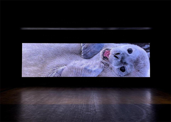 P2.5 Mẫu tủ LED đúc đúc bằng sợi 640X640mm