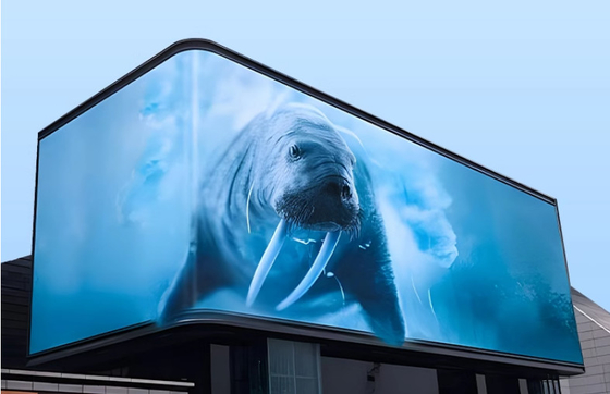 CE Rohs P6 Led Panel Screen Indoor Led Display Billboard Cho Quảng cáo Thành phố