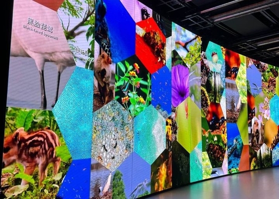 p10 Màn hình LED linh hoạt bằng sắt cong đầy màu sắc chống nước Epistar Chip Video Display