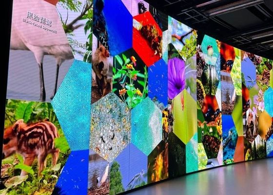 Màn hình cho thuê bằng nhôm đúc, có thể tùy chỉnh cho phòng họp, nhà thờ, màn hình LED linh hoạt HD, COB P0.9