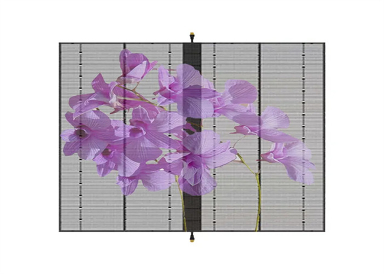 Không thấm nước Full Color High Resolution Transparent LED Screen SMD1921 Bảo hành 3 năm