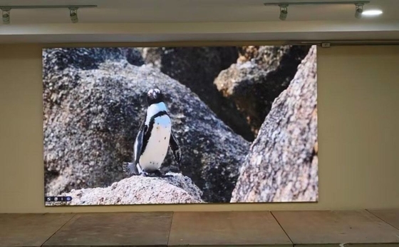 P1.667 Thuê màn hình LED RGB Hệ thống NOVA Tốc độ làm mới cao HD Không kéo bóng
