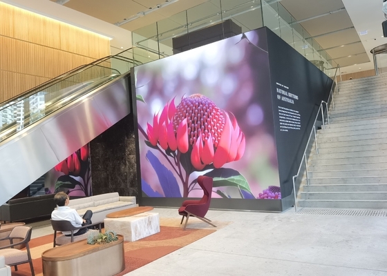 Chiếc màn hình cho thuê bằng nhôm RGB ngoài trời HD chống nước màn hình video LED, màn hình tường TV LED màu đầy đủ P8