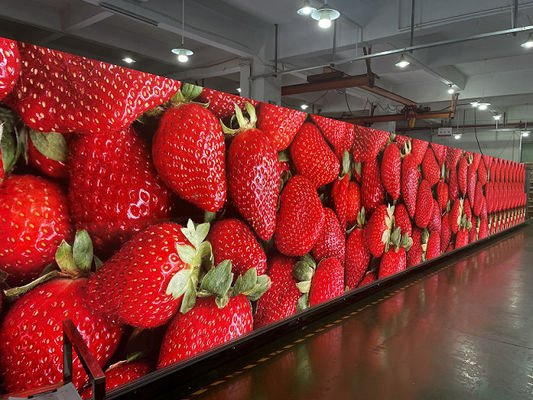 P4 SMD LED Die-Cast Aluminum Screen / Indoor Multi-Color Video Wall LED Display, Bảo hành 3 năm