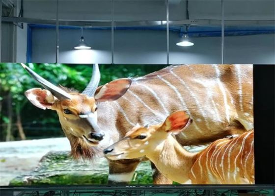 P1.923 Màn hình LED đủ màu trong nhà SMD1515 Treo tường Độ nét cực cao