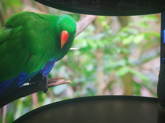 Tủ nhôm P5 màn hình LED cố định cho bảo trì dịch vụ phía sau có thể tùy chỉnh