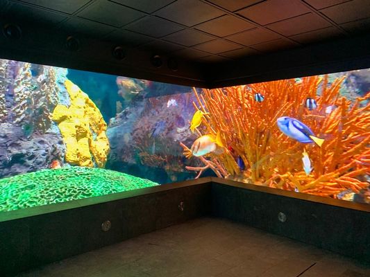 P5 Quảng cáo ngoài trời màn hình LED cong SMD2121, độ sáng 2500 Nits