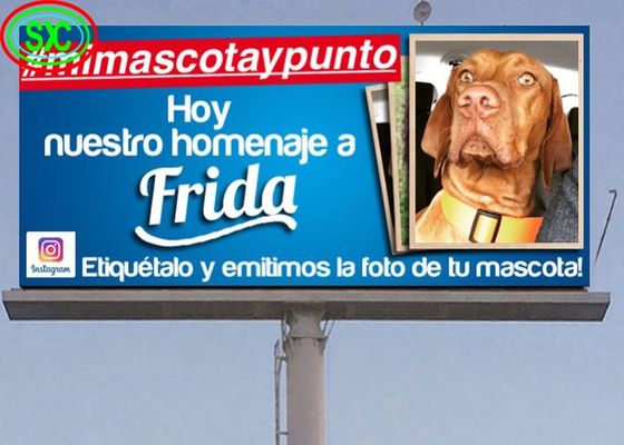 Chiếc màn hình nhôm die-cast hộp sắt / Cho thuê thương mại tự đứng ngoài trời màn hình LED đầy màu sắc cho quảng cáo đường phố và siêu thị